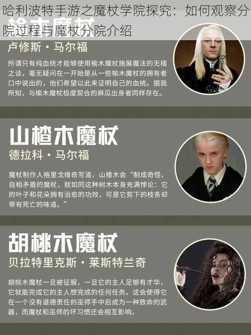 哈利波特手游之魔杖学院探究：如何观察分院过程与魔杖分院介绍