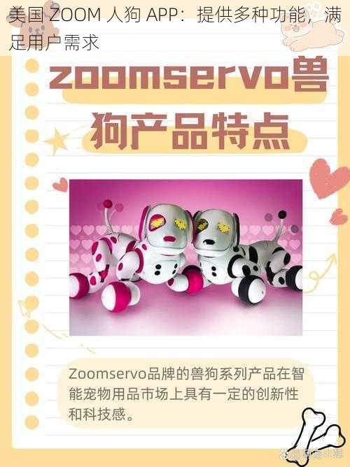 美国 ZOOM 人狗 APP：提供多种功能，满足用户需求