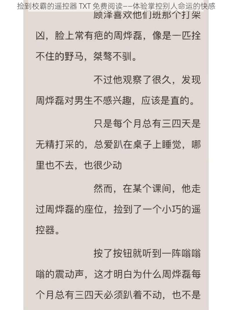 捡到校霸的遥控器 TXT 免费阅读——体验掌控别人命运的快感