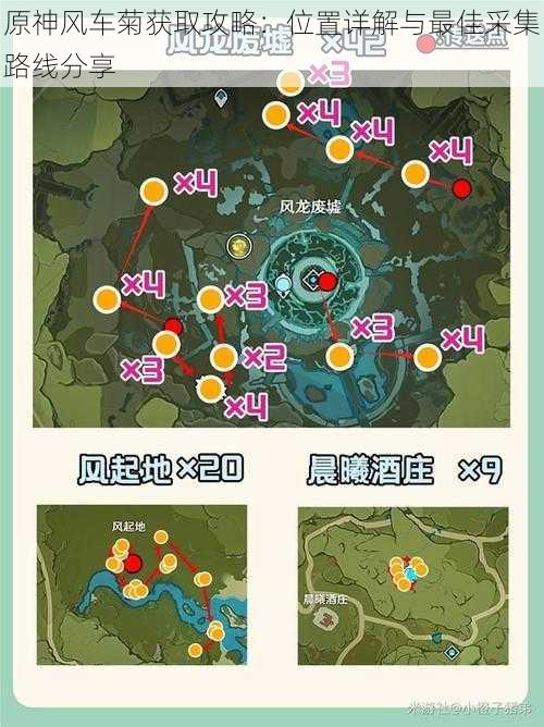 原神风车菊获取攻略：位置详解与最佳采集路线分享