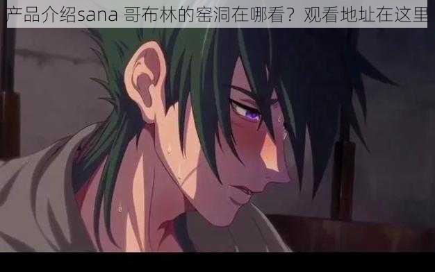 产品介绍sana 哥布林的窑洞在哪看？观看地址在这里