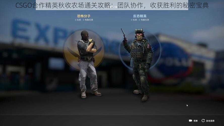 CSGO合作精英秋收农场通关攻略：团队协作，收获胜利的秘密宝典