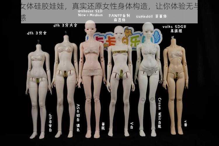 最新女体硅胶娃娃，真实还原女性身体构造，让你体验无与伦比的快感