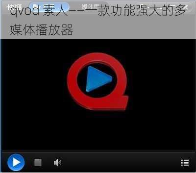 qvod 素人——一款功能强大的多媒体播放器