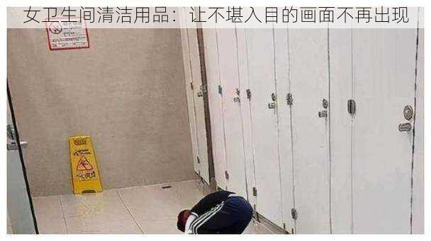 女卫生间清洁用品：让不堪入目的画面不再出现