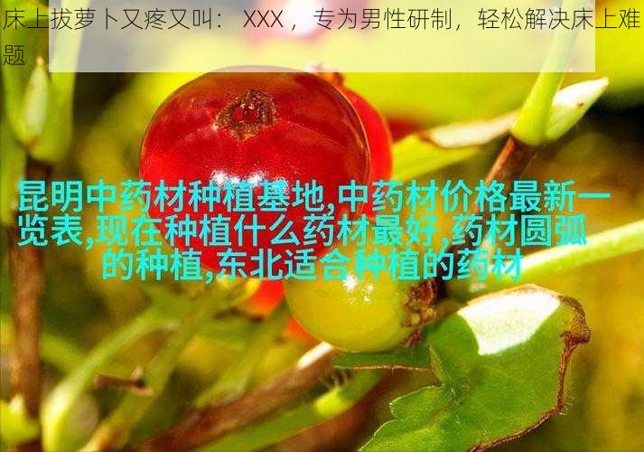 床上拔萝卜又疼又叫： XXX ，专为男性研制，轻松解决床上难题