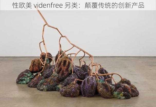 性欧美 videnfree 另类：颠覆传统的创新产品