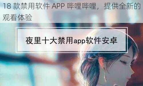 18 款禁用软件 APP 哔哩哔哩，提供全新的观看体验