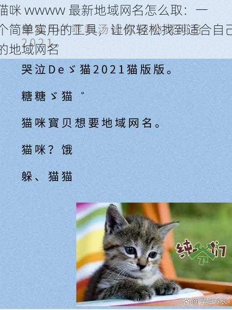 猫咪 wwww 最新地域网名怎么取：一个简单实用的工具，让你轻松找到适合自己的地域网名