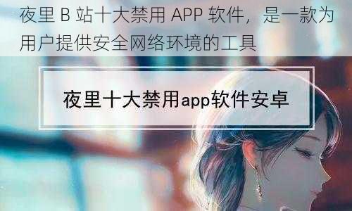 夜里 B 站十大禁用 APP 软件，是一款为用户提供安全网络环境的工具