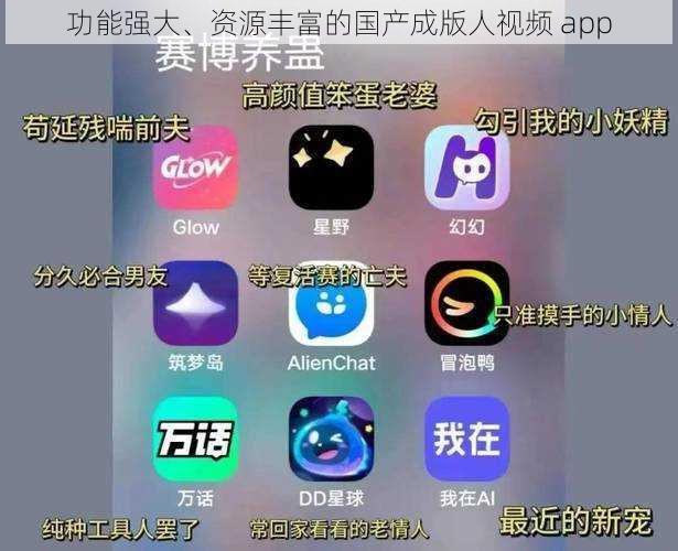 功能强大、资源丰富的国产成版人视频 app