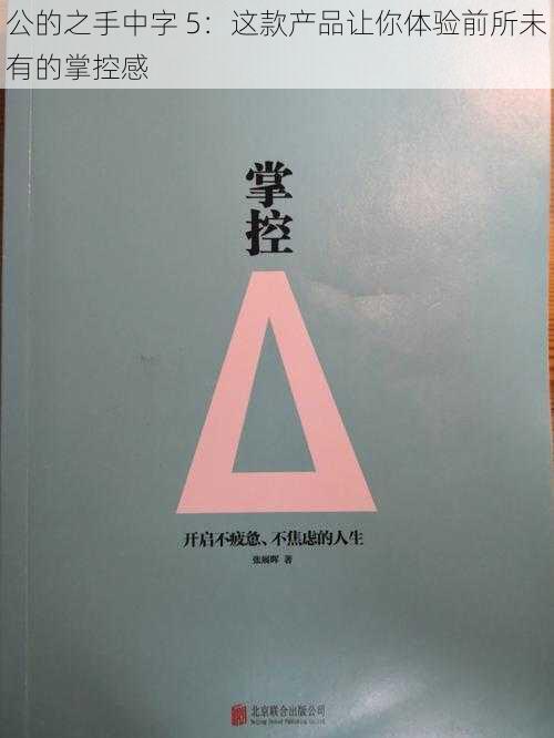 公的之手中字 5：这款产品让你体验前所未有的掌控感