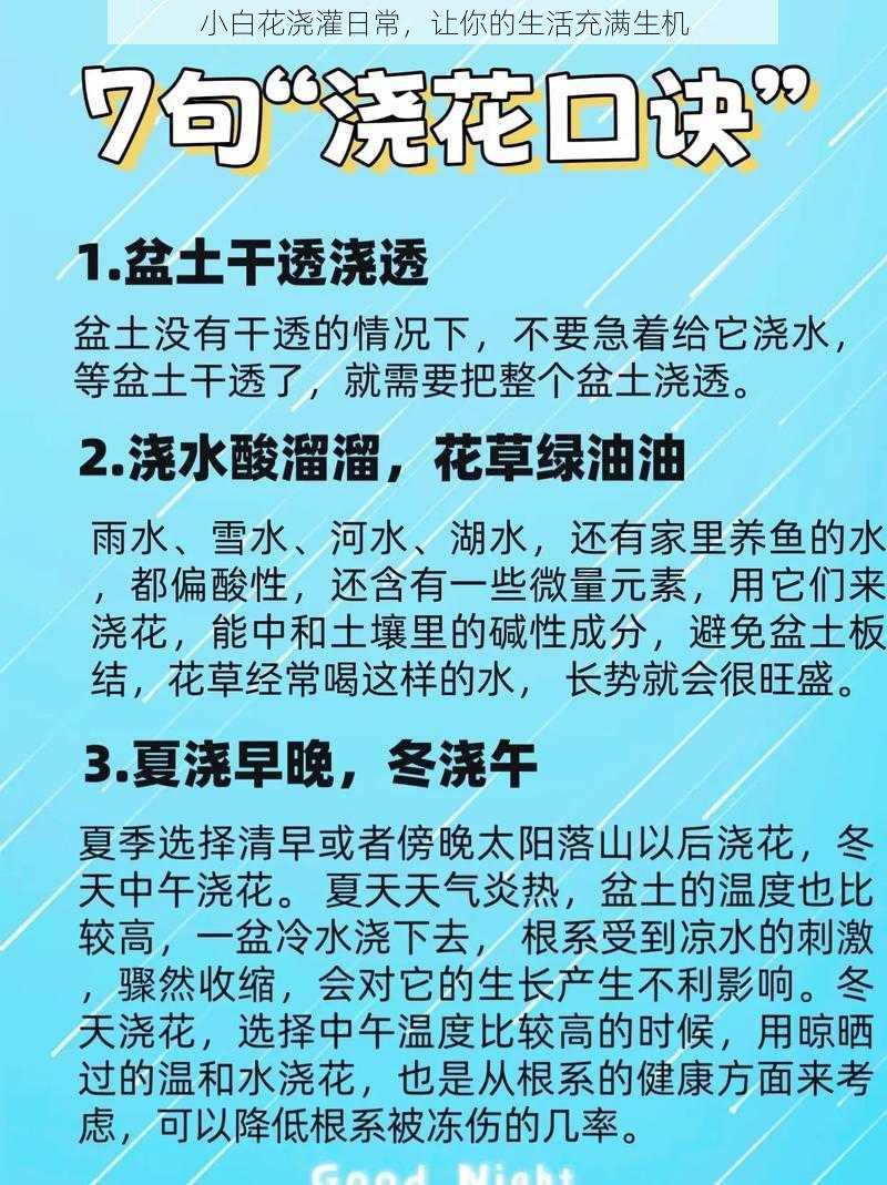 小白花浇灌日常，让你的生活充满生机