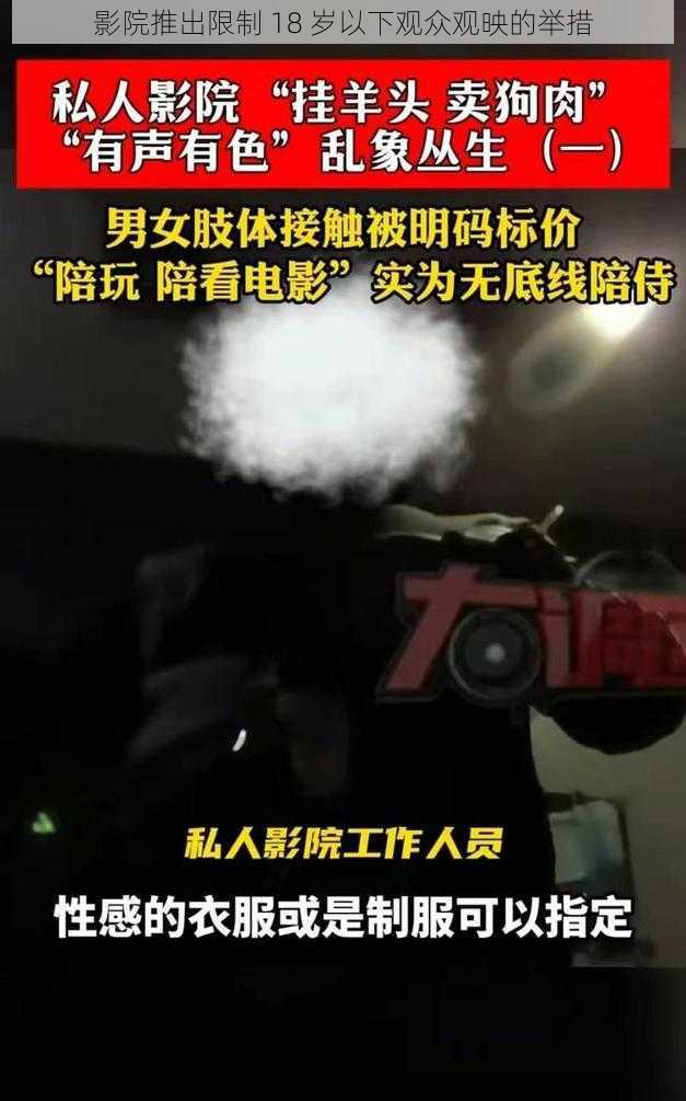 影院推出限制 18 岁以下观众观映的举措