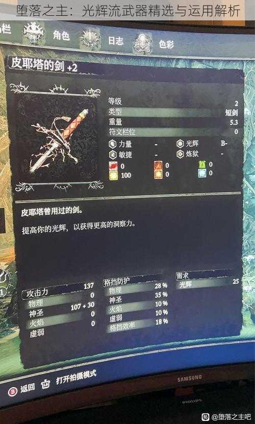 堕落之主：光辉流武器精选与运用解析