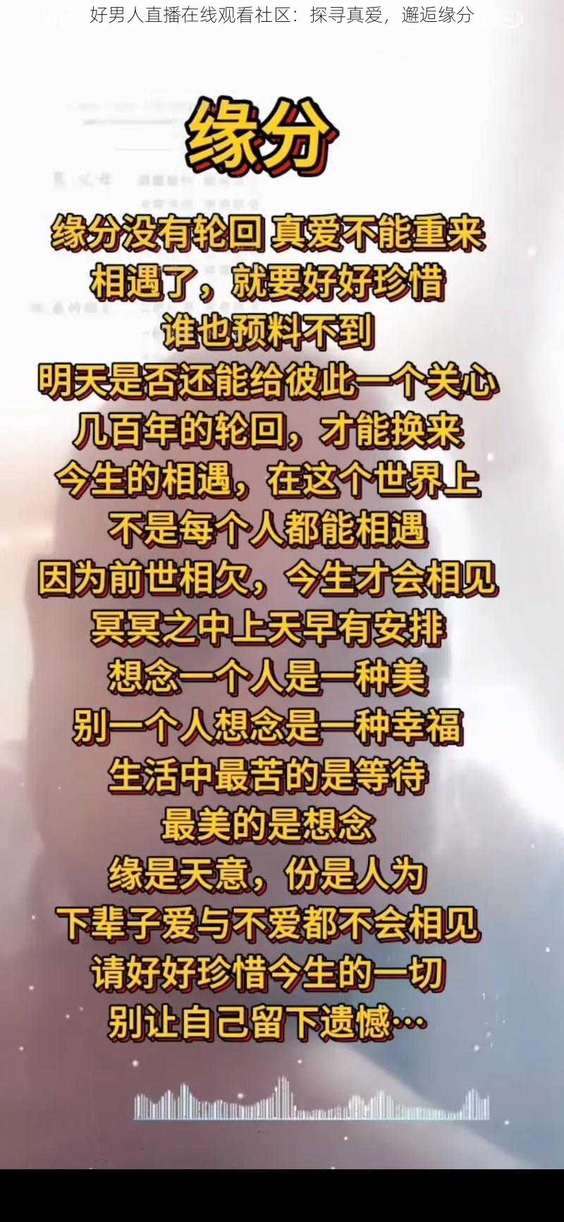 好男人直播在线观看社区：探寻真爱，邂逅缘分