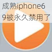 成熟iphone69被永久禁用了