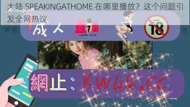 大陆 SPEAKINGATHOME 在哪里播放？这个问题引发全网热议