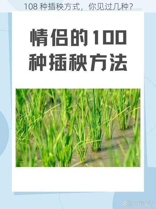 108 种插秧方式，你见过几种？