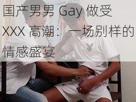 国产男男 Gay 做受 XXX 高潮：一场别样的情感盛宴