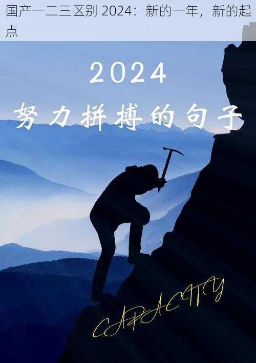 国产一二三区别 2024：新的一年，新的起点