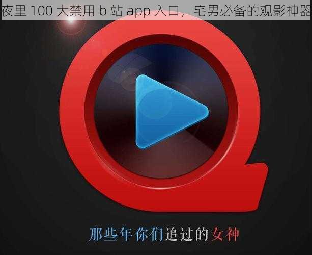 夜里 100 大禁用 b 站 app 入口，宅男必备的观影神器