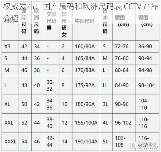 权威发布：国产尺码和欧洲尺码表 CCTV 产品介绍