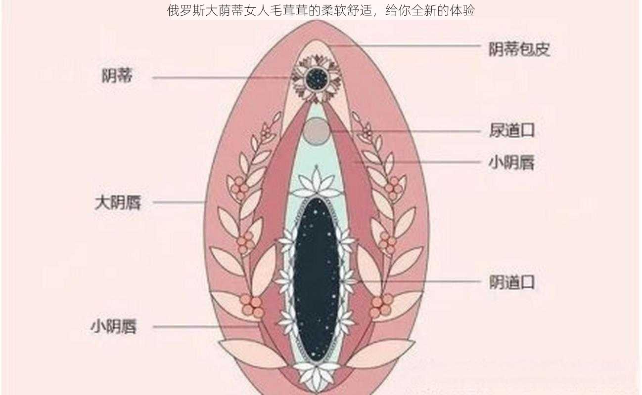 俄罗斯大荫蒂女人毛茸茸的柔软舒适，给你全新的体验