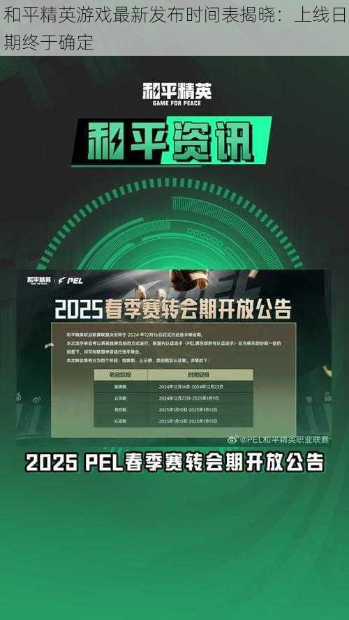 和平精英游戏最新发布时间表揭晓：上线日期终于确定