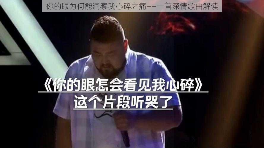 你的眼为何能洞察我心碎之痛——一首深情歌曲解读