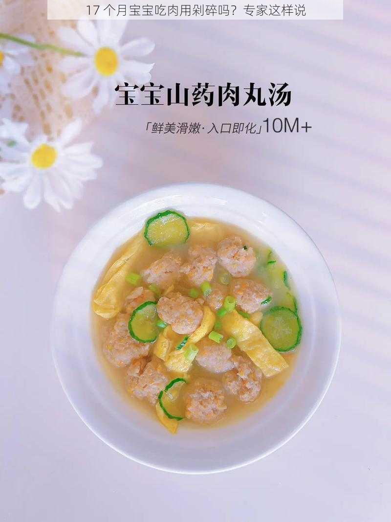 17 个月宝宝吃肉用剁碎吗？专家这样说