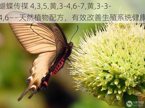 蝴蝶传禖 4,3,5,黄,3-4,6-7,黄,3-3-4,6——天然植物配方，有效改善生殖系统健康