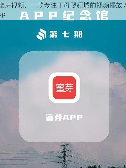 蜜芽视频，一款专注于母婴领域的视频播放 APP