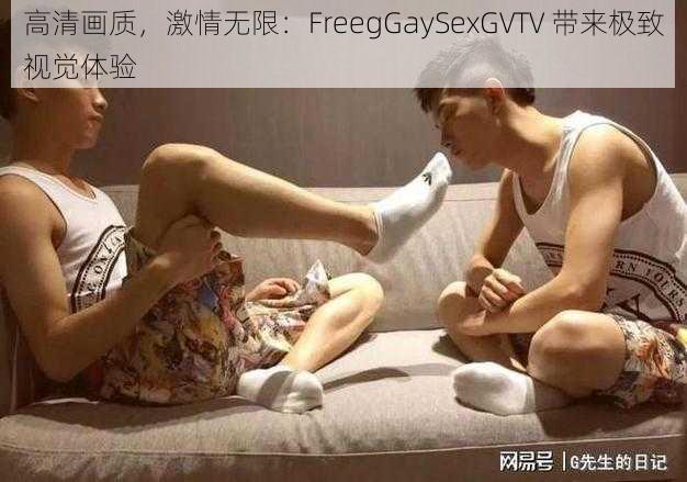 高清画质，激情无限：FreegGaySexGVTV 带来极致视觉体验