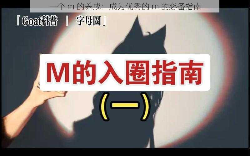 一个 m 的养成：成为优秀的 m 的必备指南