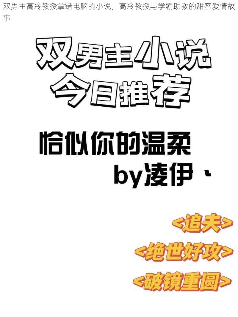 双男主高冷教授拿错电脑的小说，高冷教授与学霸助教的甜蜜爱情故事