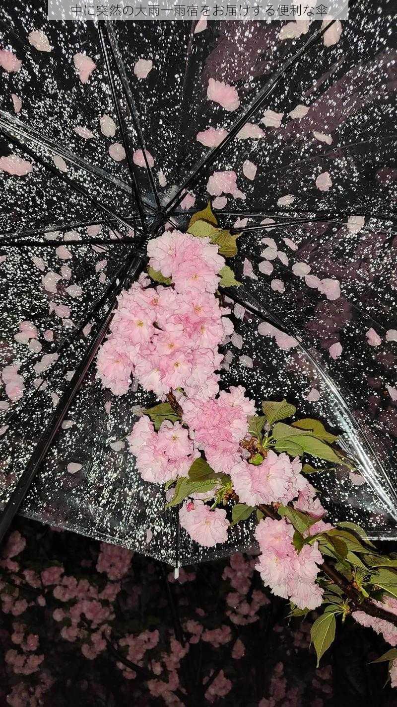 中に突然の大雨一雨宿をお届けする便利な傘