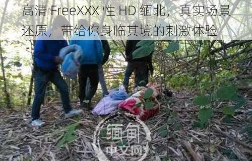 高清 FreeXXX 性 HD 缅北，真实场景还原，带给你身临其境的刺激体验