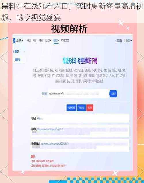 黑料社在线观看入口，实时更新海量高清视频，畅享视觉盛宴