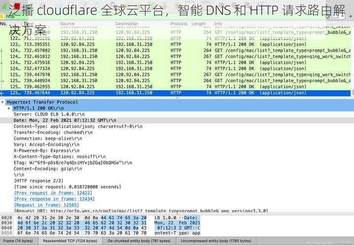 泛播 cloudflare 全球云平台，智能 DNS 和 HTTP 请求路由解决方案