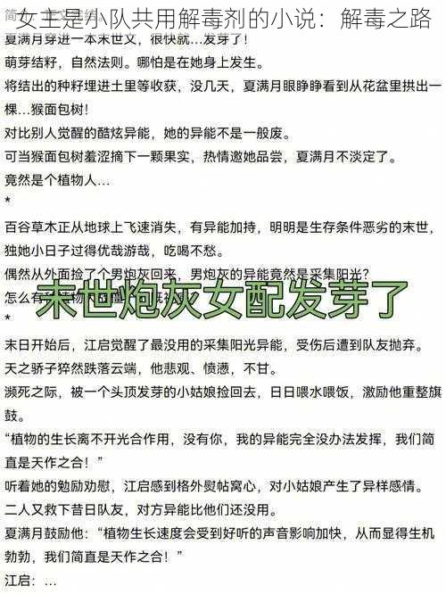 女主是小队共用解毒剂的小说：解毒之路