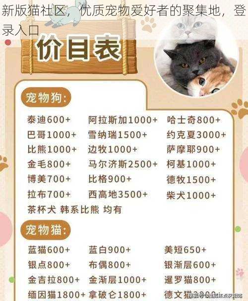 新版猫社区，优质宠物爱好者的聚集地，登录入口