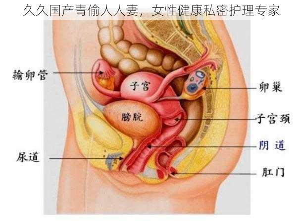 久久国产青偷人人妻，女性健康私密护理专家