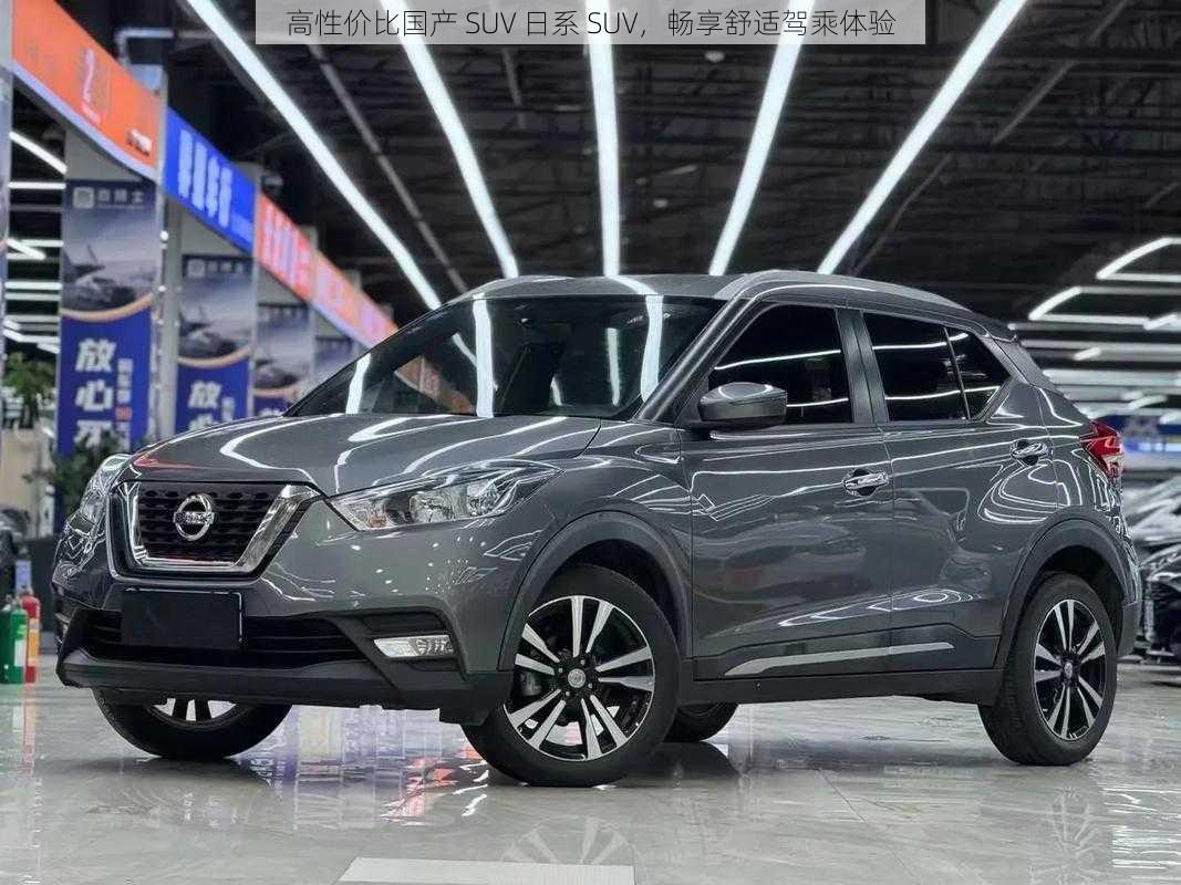 高性价比国产 SUV 日系 SUV，畅享舒适驾乘体验