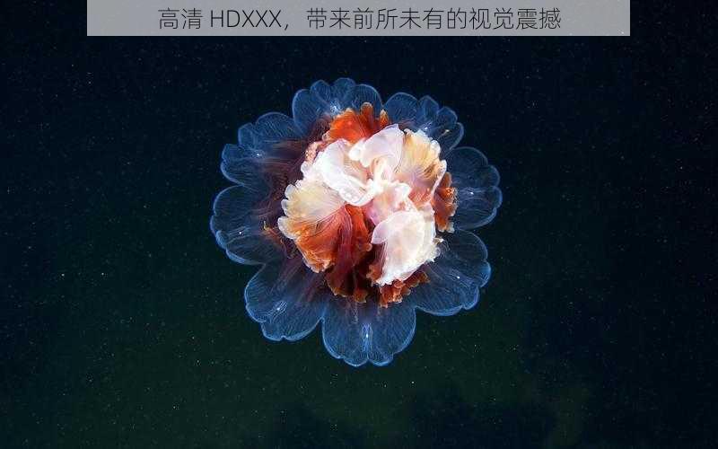 高清 HDXXX，带来前所未有的视觉震撼