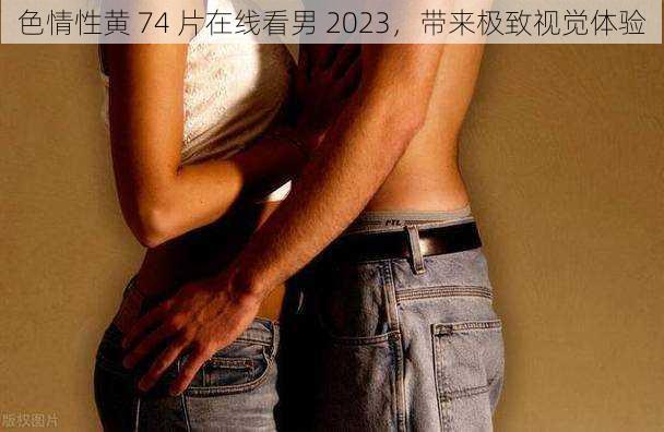 色情性黄 74 片在线看男 2023，带来极致视觉体验