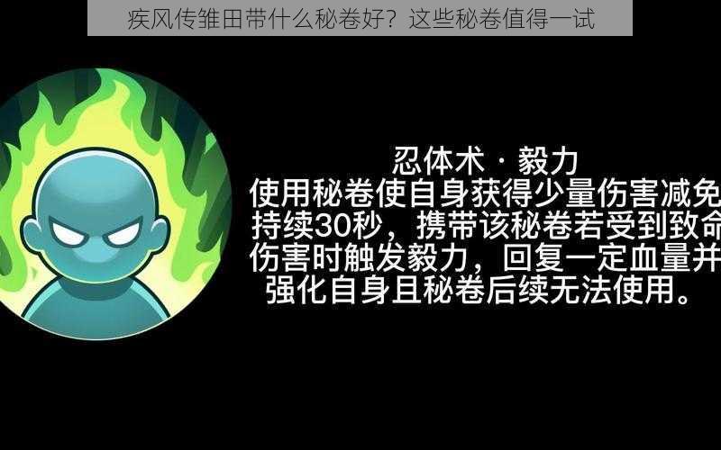 疾风传雏田带什么秘卷好？这些秘卷值得一试