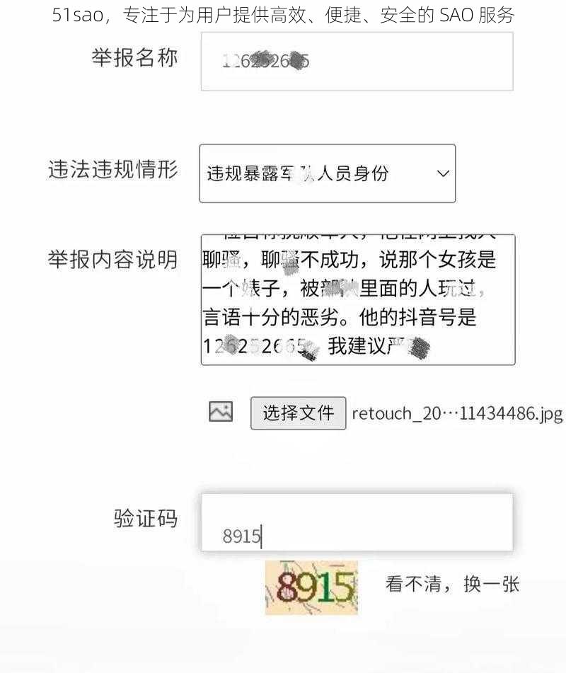 51sao，专注于为用户提供高效、便捷、安全的 SAO 服务