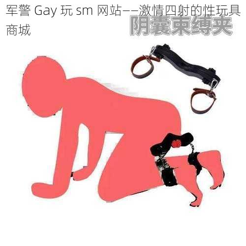 军警 Gay 玩 sm 网站——激情四射的性玩具商城