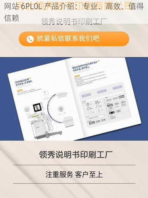 网站 6PL0L 产品介绍：专业、高效、值得信赖